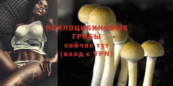МДМА Абаза