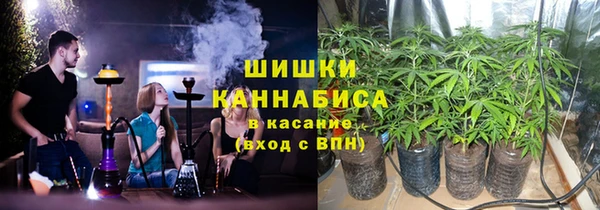 сатива Абинск