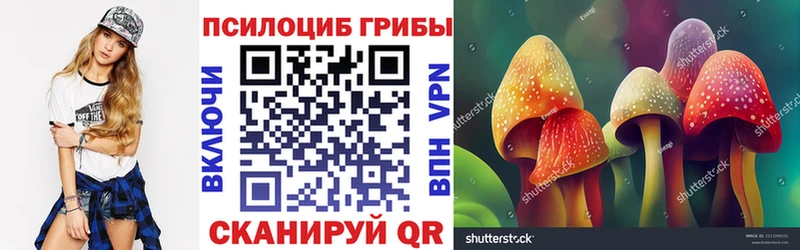 kraken ССЫЛКА  Фокино  Псилоцибиновые грибы GOLDEN TEACHER 