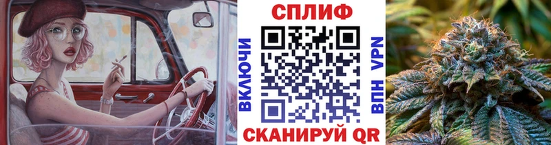 Шишки марихуана планчик Фокино